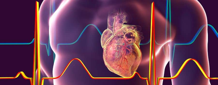 Hoe werkt een ECG hartslagmeting